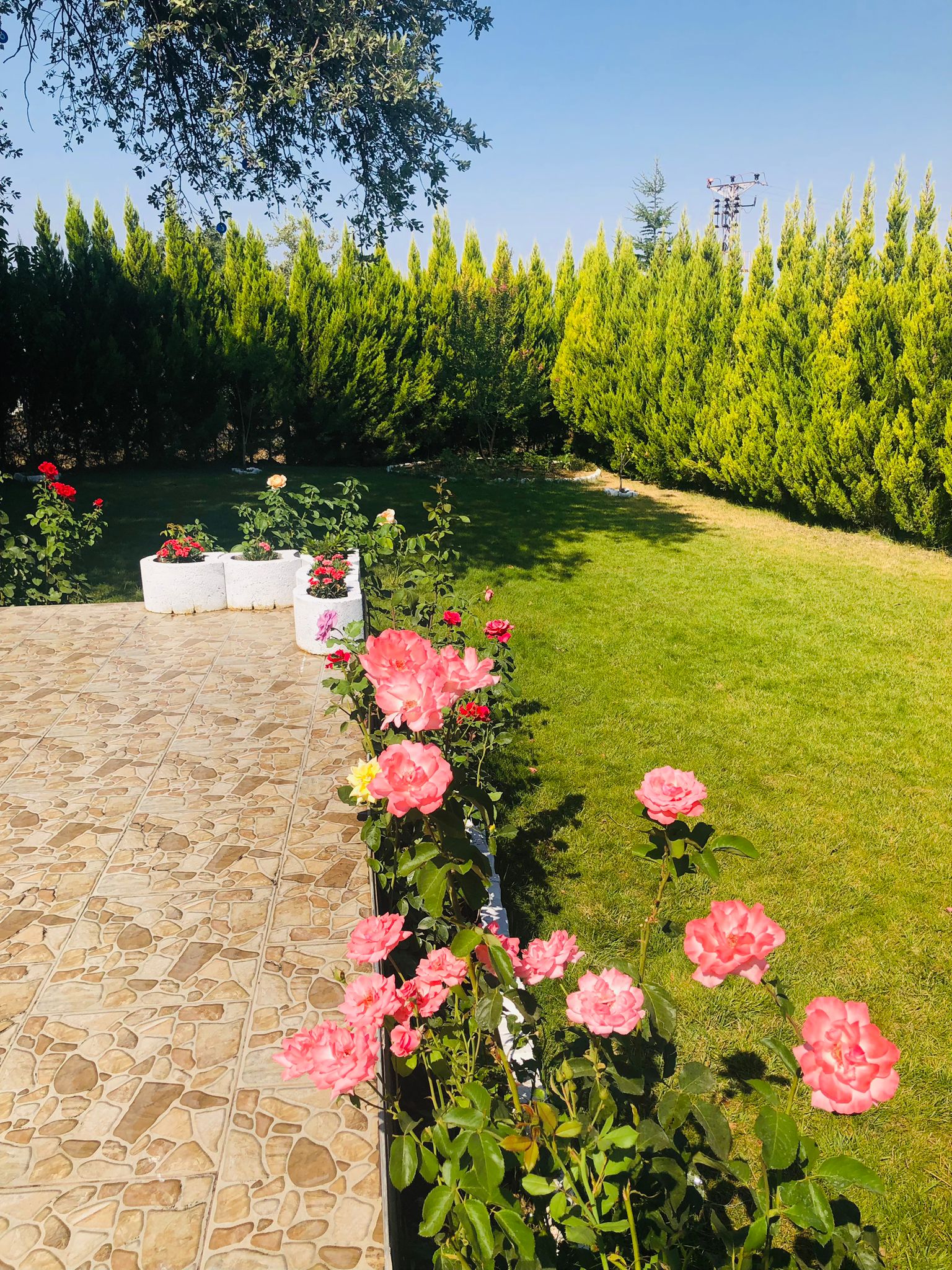 İlan Resmi